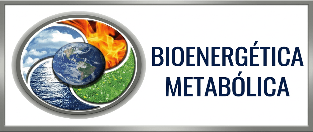 Bioenergética Metabólica
